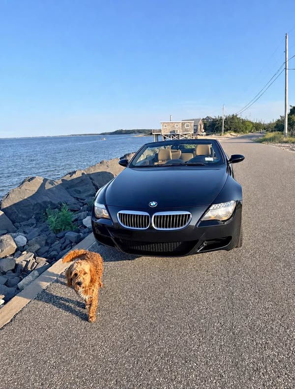 2008 BMW M6 - Convertible 2D