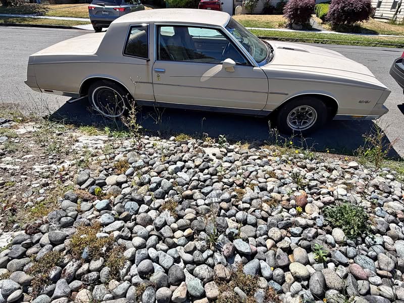 1981 Chevrolet Monte Carlo