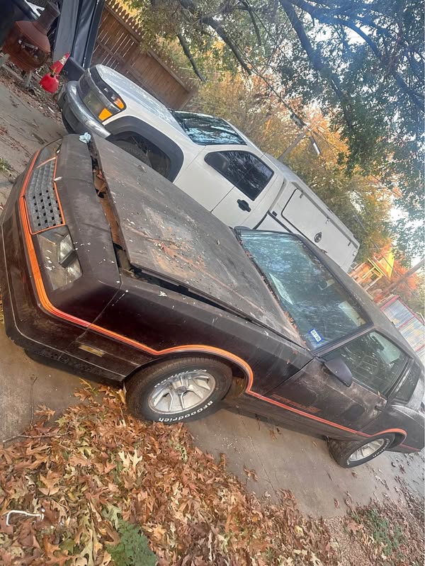 1986 Chevrolet Monte Carlo - SS Coupe 2D