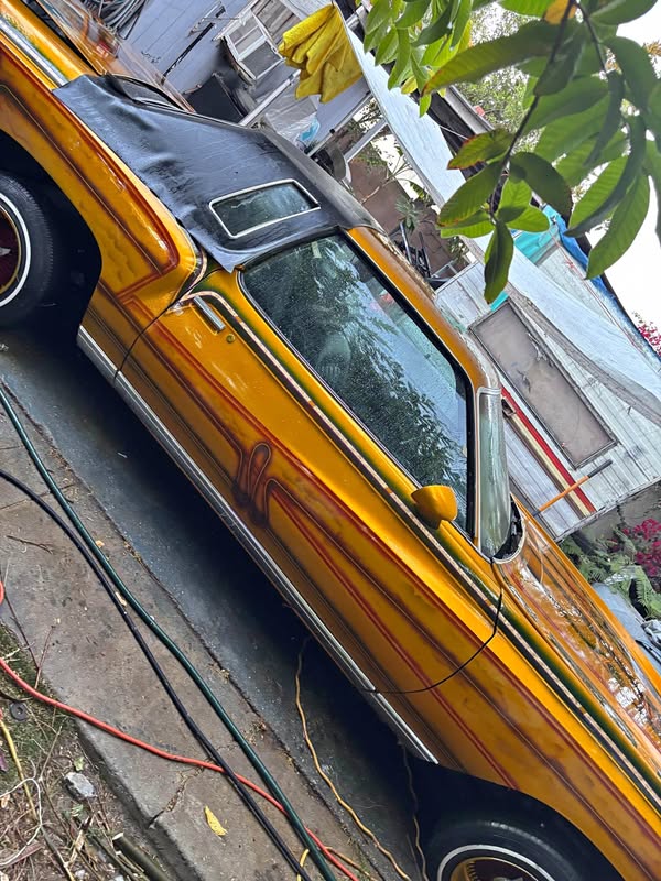 1977 Chevrolet Monte Carlo - LS Coupe 2D