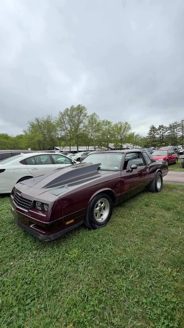 1985 Chevrolet Monte Carlo - SS Coupe 2D
