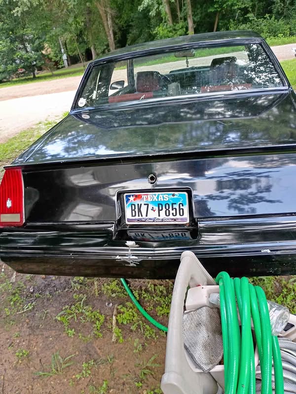 1988 Chevrolet Monte Carlo - SS Coupe 2D