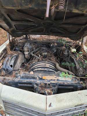 1977 Chevrolet Monte Carlo
