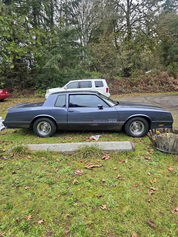 1984 Chevrolet Monte Carlo - SS Coupe 2D