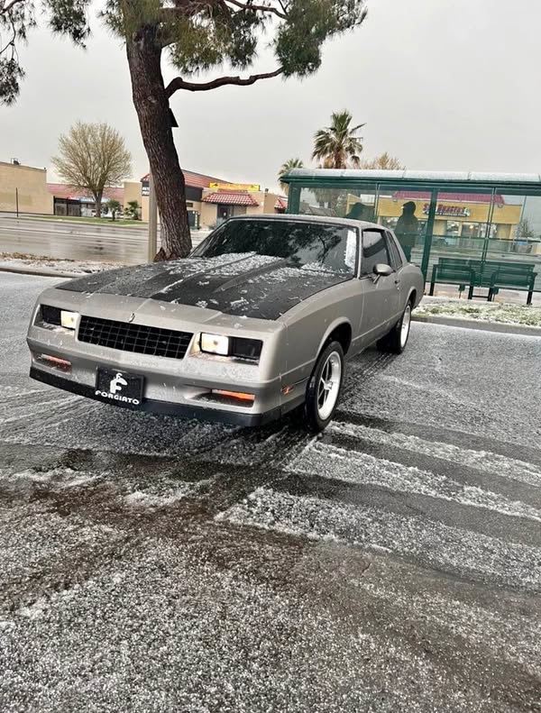 1984 Chevrolet Monte Carlo - SS Coupe 2D