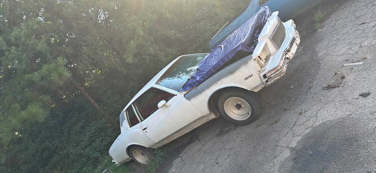 1979 Chevrolet Monte Carlo - Landau