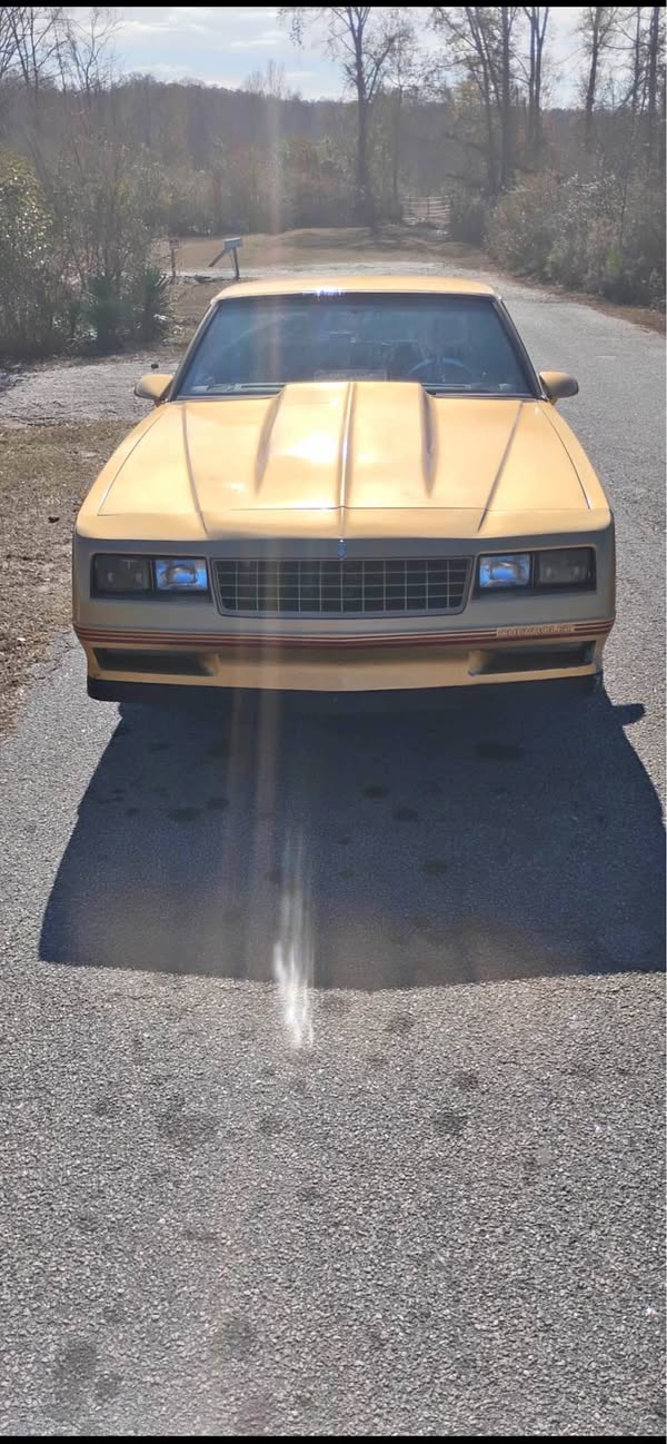 1986 Chevrolet Monte Carlo - SS Coupe 2D