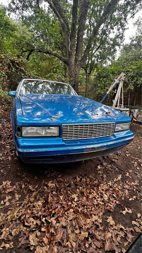 1987 Chevrolet Monte Carlo - LS Coupe 2D