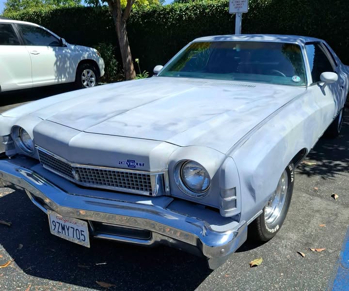 1973 Chevrolet Monte Carlo Landau