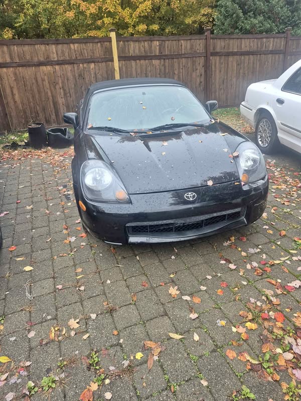 2002 Toyota MR2 - Spyder Convertible 2D