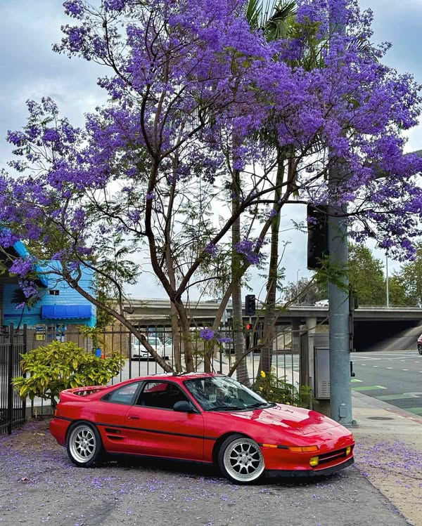 1991 Toyota MR2 - Coupe 2D