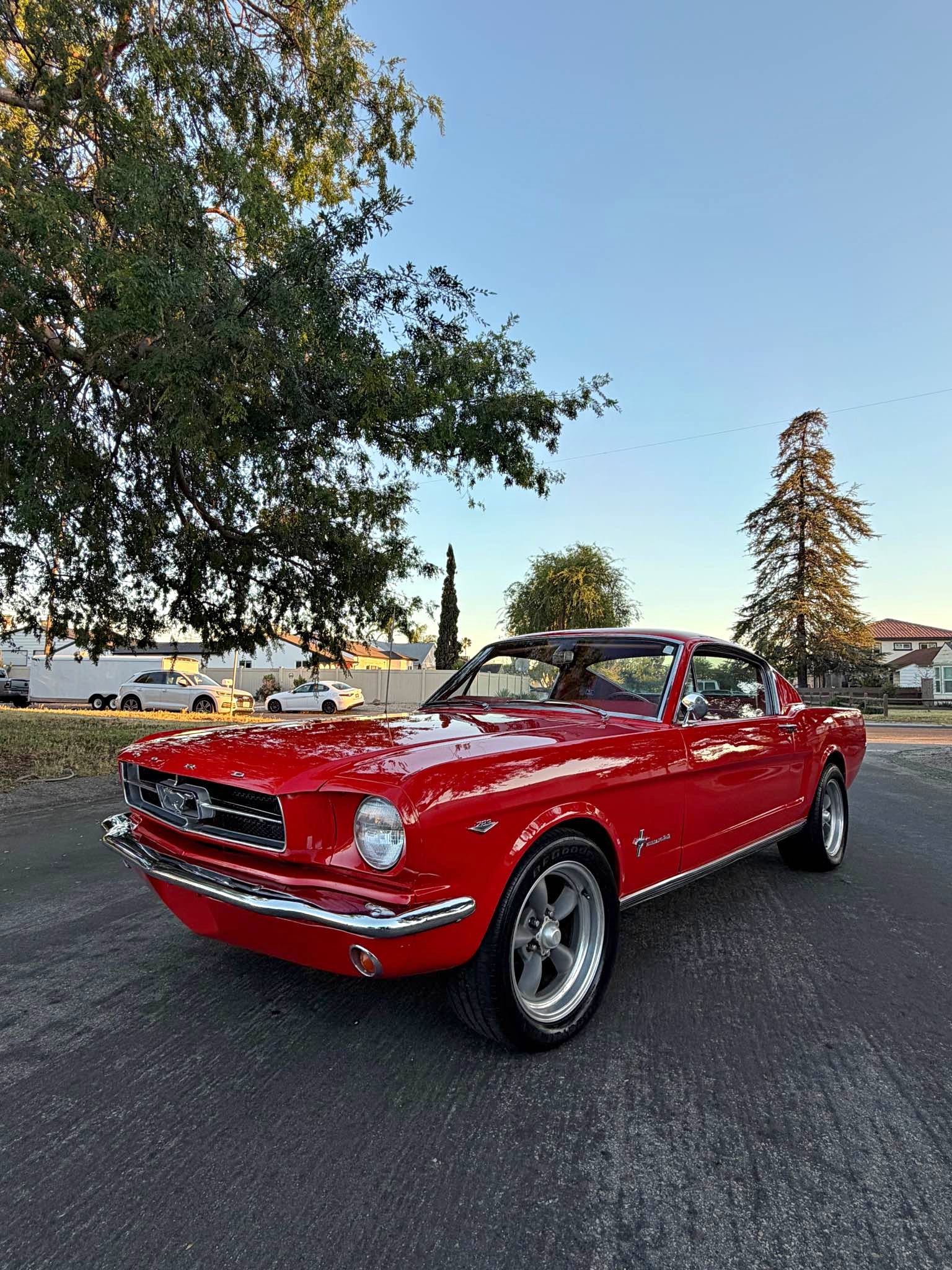 1965 Ford Mustang - Fastback