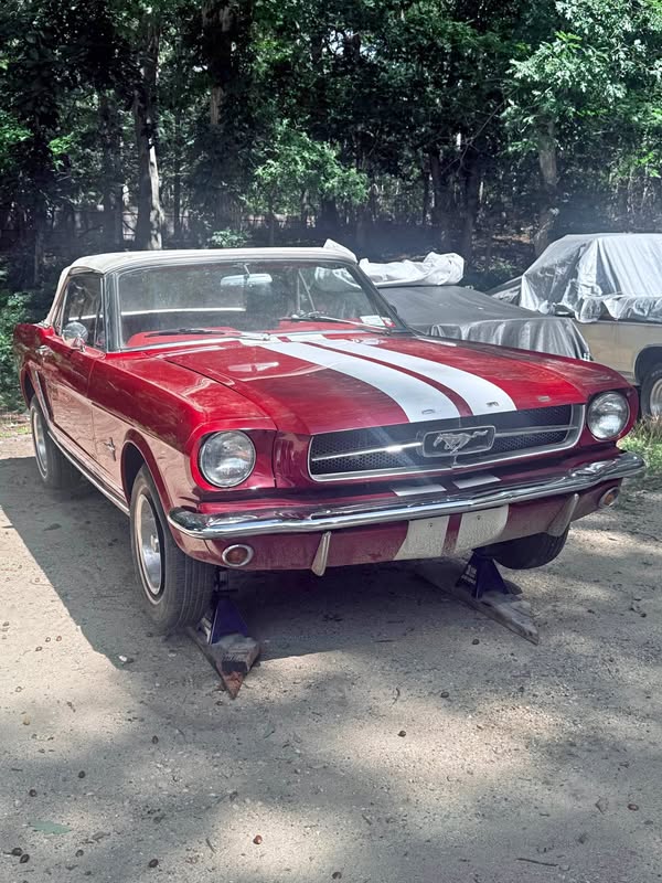 1965 Ford Mustang Convertible 2D
