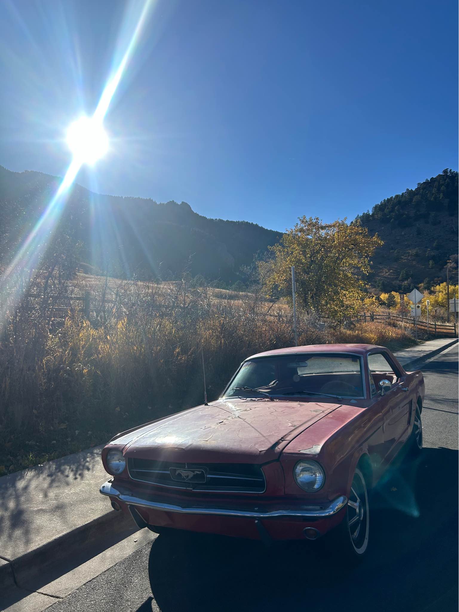1965 Ford Mustang - Coupe 2D