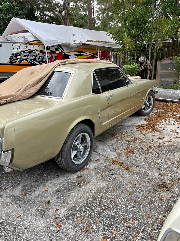 1965 Ford Mustang