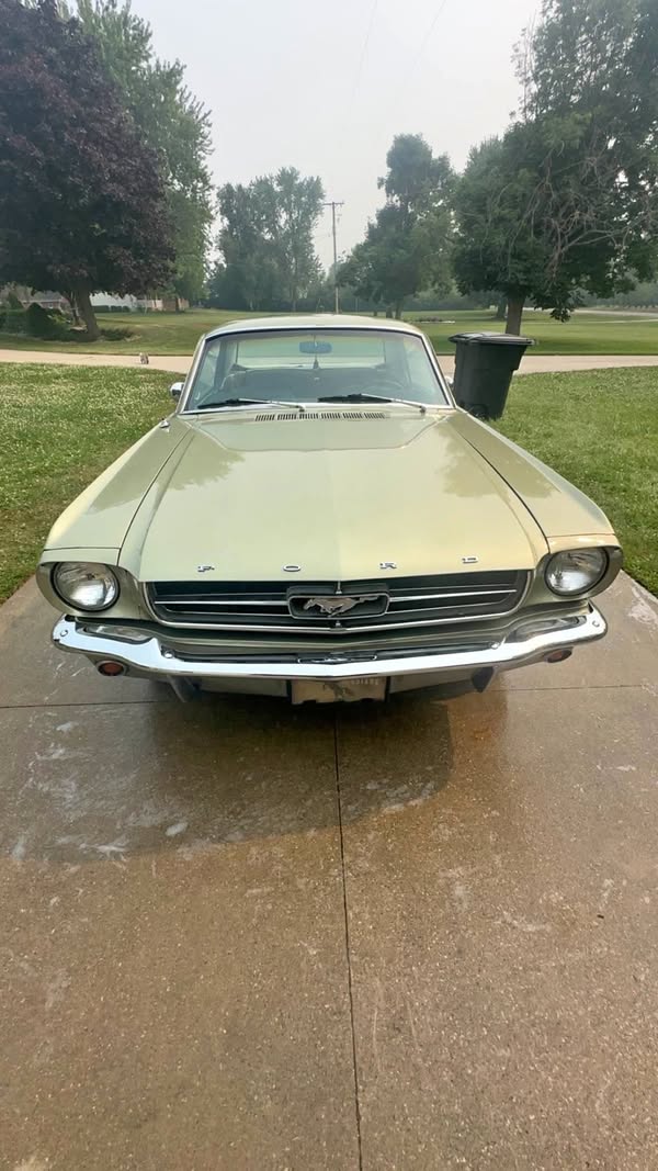 1965 Ford Mustang - Coupe 2D