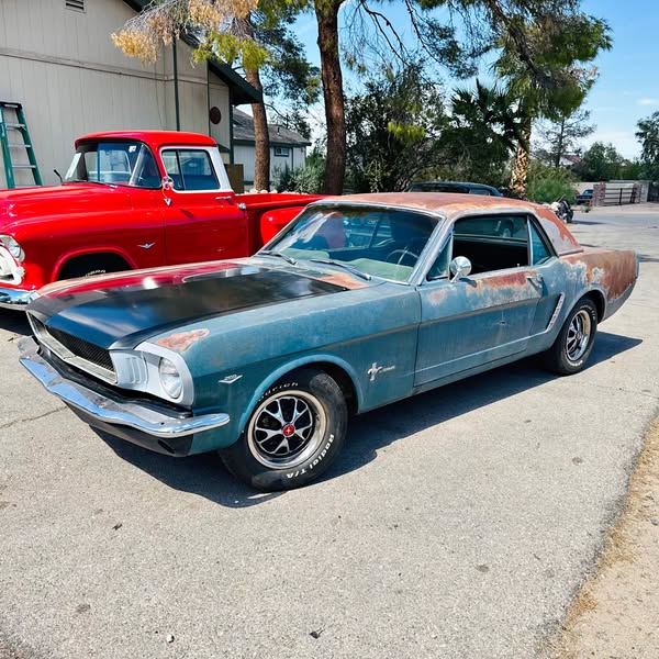 1965 Ford Mustang - Survivor Project