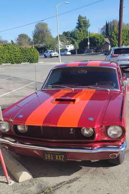 1965 Ford Mustang - Cobra Coupe 2D