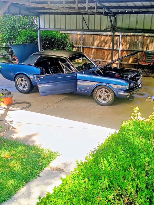 1965 Ford Mustang