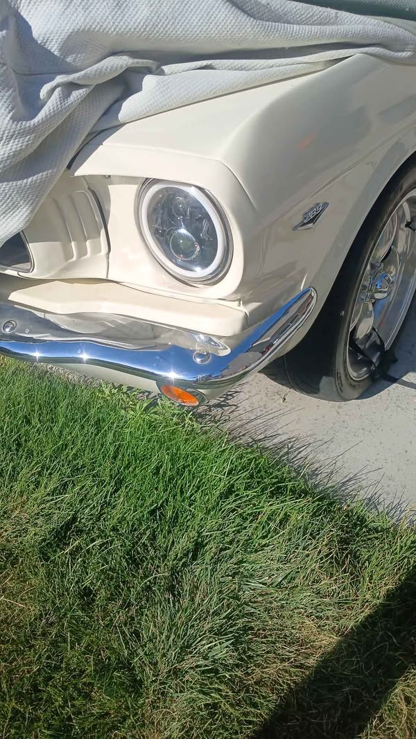 1965 Ford Mustang - Coupe 2D