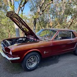 1965 Ford Mustang - Coupe 2D