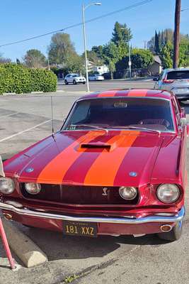 1965 Ford Mustang - Cobra Coupe 2D