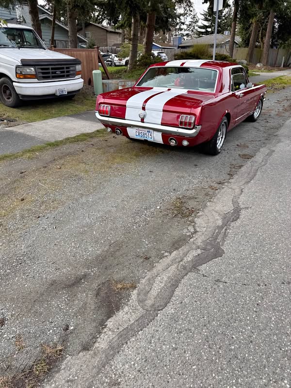 1965 Ford Mustang - Gt