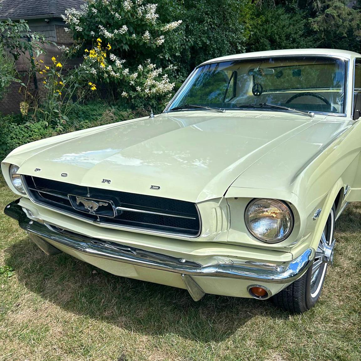 1965 Ford Mustang - Coupe 2D