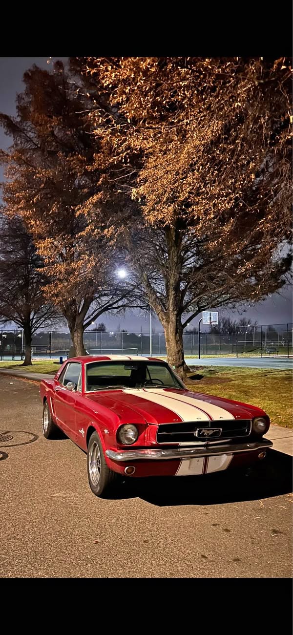 1965 Ford Mustang - Coupe 2D