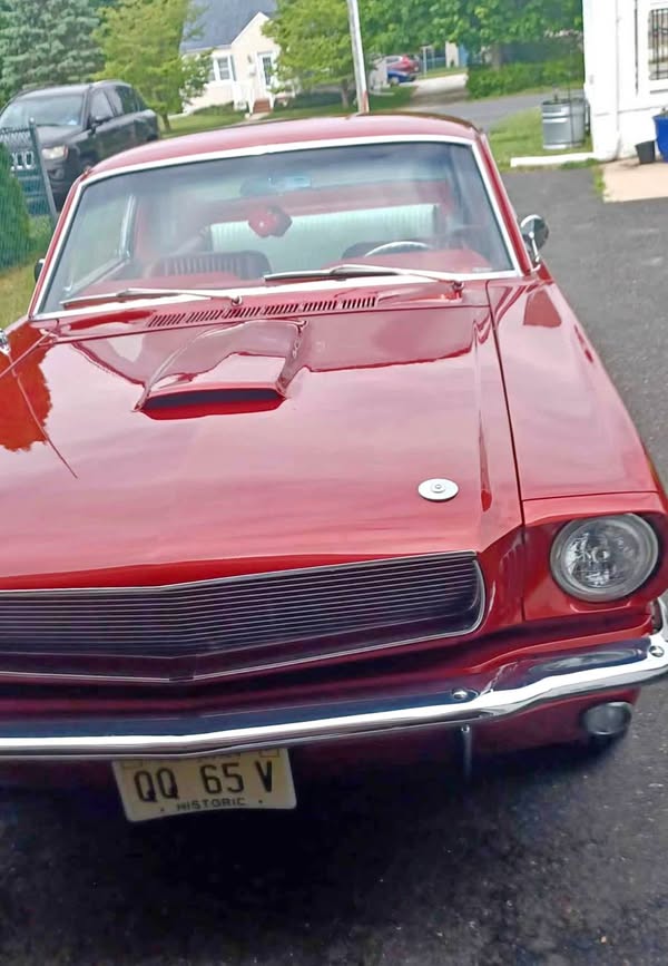 1965 Ford Mustang - 2+2 fastback