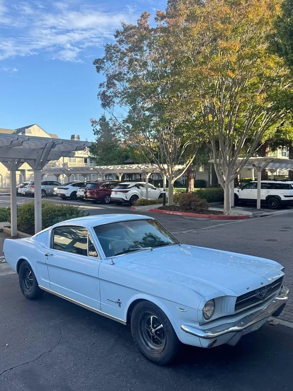 1965 Ford Mustang - Fastback