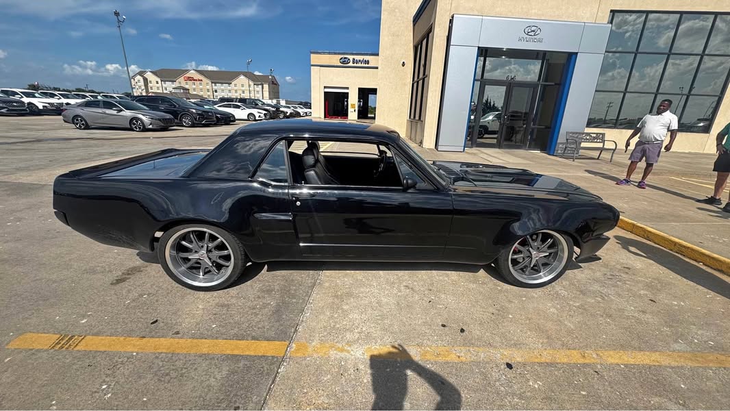 1965 Ford Mustang - SHELBY