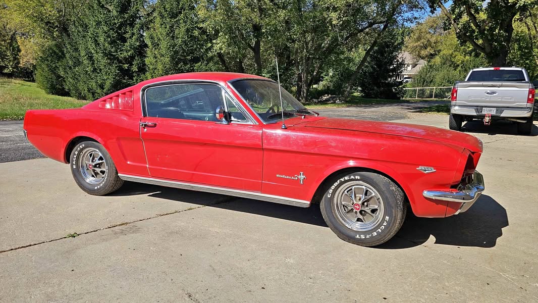 1965 Ford Mustang - Cobra Coupe 2D