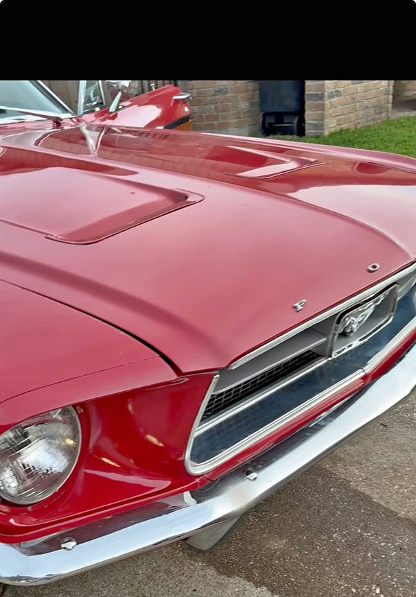 1967 Ford Mustang - Coupe 2D