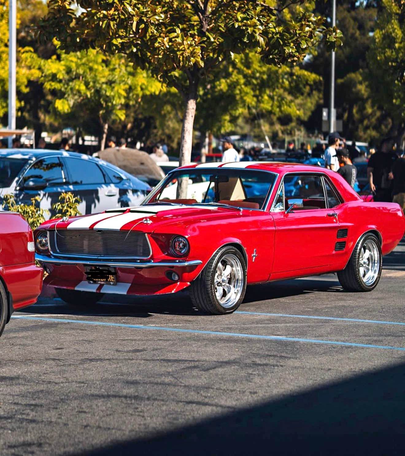 1967 Ford Mustang - GT