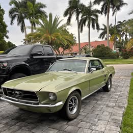 1967 ford mustang OBO