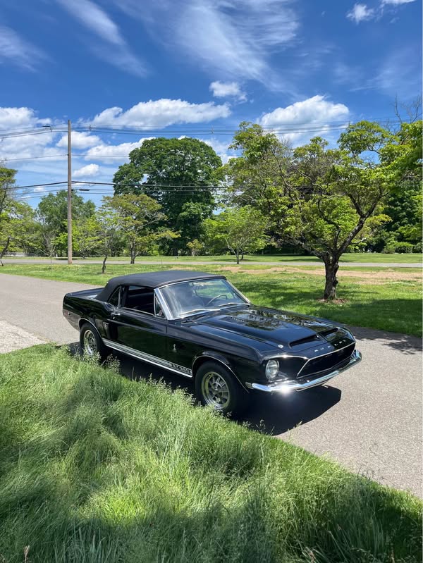 1968 Ford Shelby Mustang - Shelby GT350 Convertible