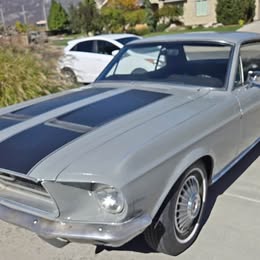 1968 ford mustang