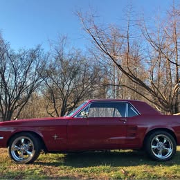 1967 Ford Mustang 289 V8 \u2013 Automatic \u2013 Fully Restored