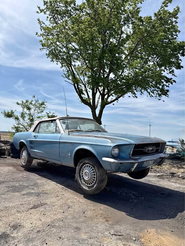 1967 Ford Mustang