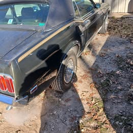 1969 Ford Mustang Premium Coupe 2D