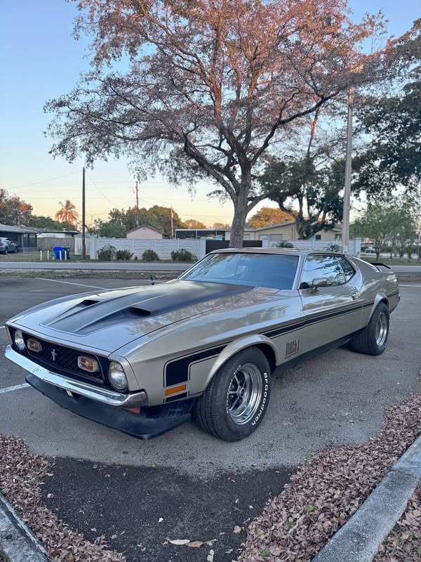 1971 Ford Mustang - Mach 1