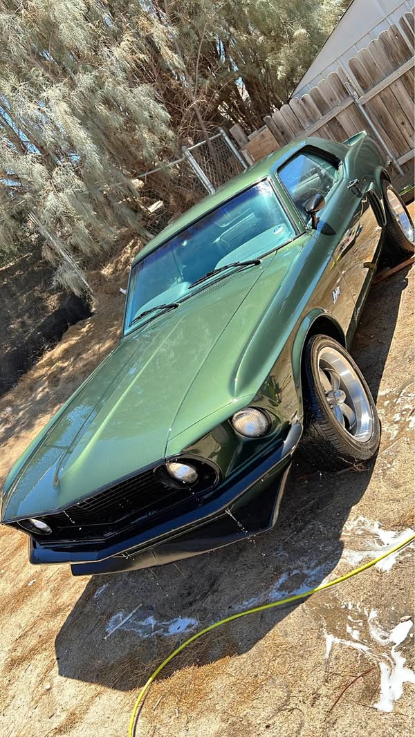 1969 Ford Mustang  - Coupe