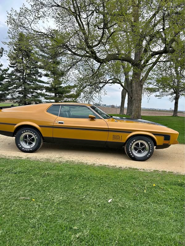 1972 Ford Mustang - Mach 1 Coupe 2D