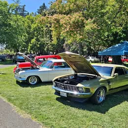1970 Ford mustang boss 302 \u2014 marti documented 1-of-1