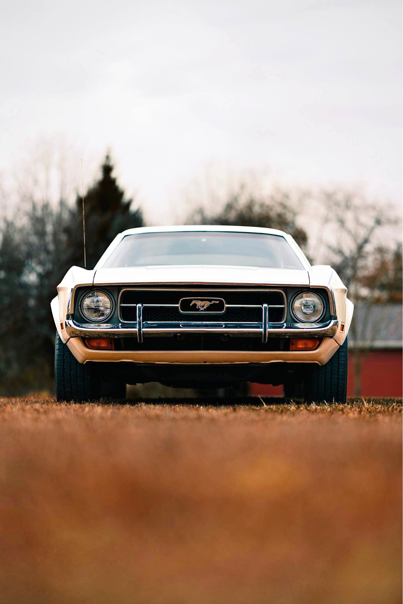1972 Ford Mustang - Coupe 2D