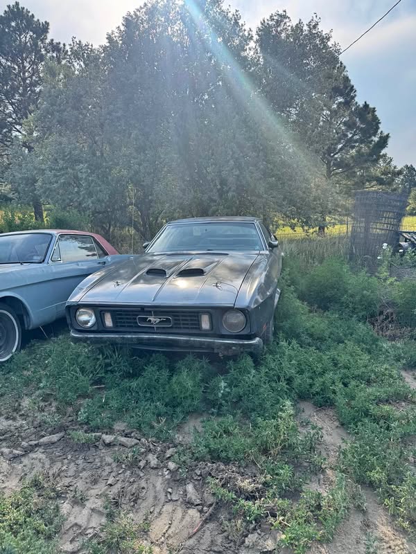 1973 Ford Mustang - Coupe 2D