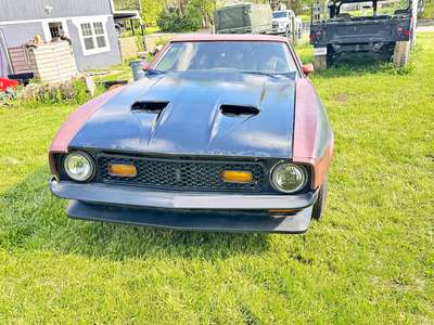 1982 Ford Mustang - GT Coupe 2D