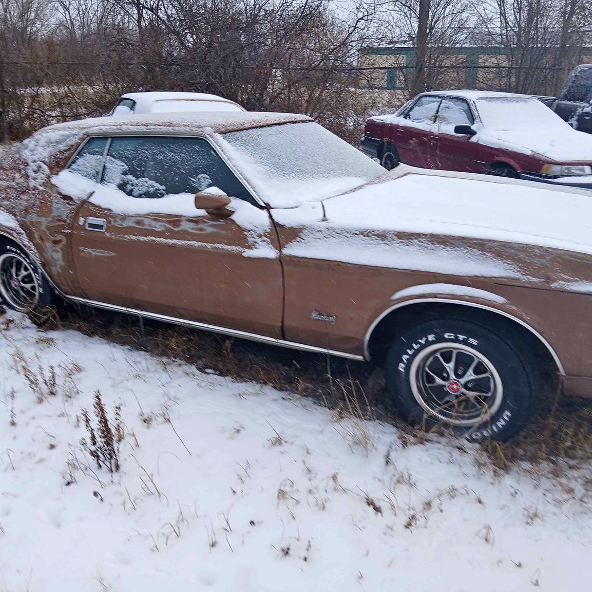 1971 Ford Mustang - Coupe 2D
