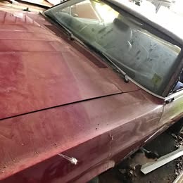 1969 Ford Mustang - Coupe 2D